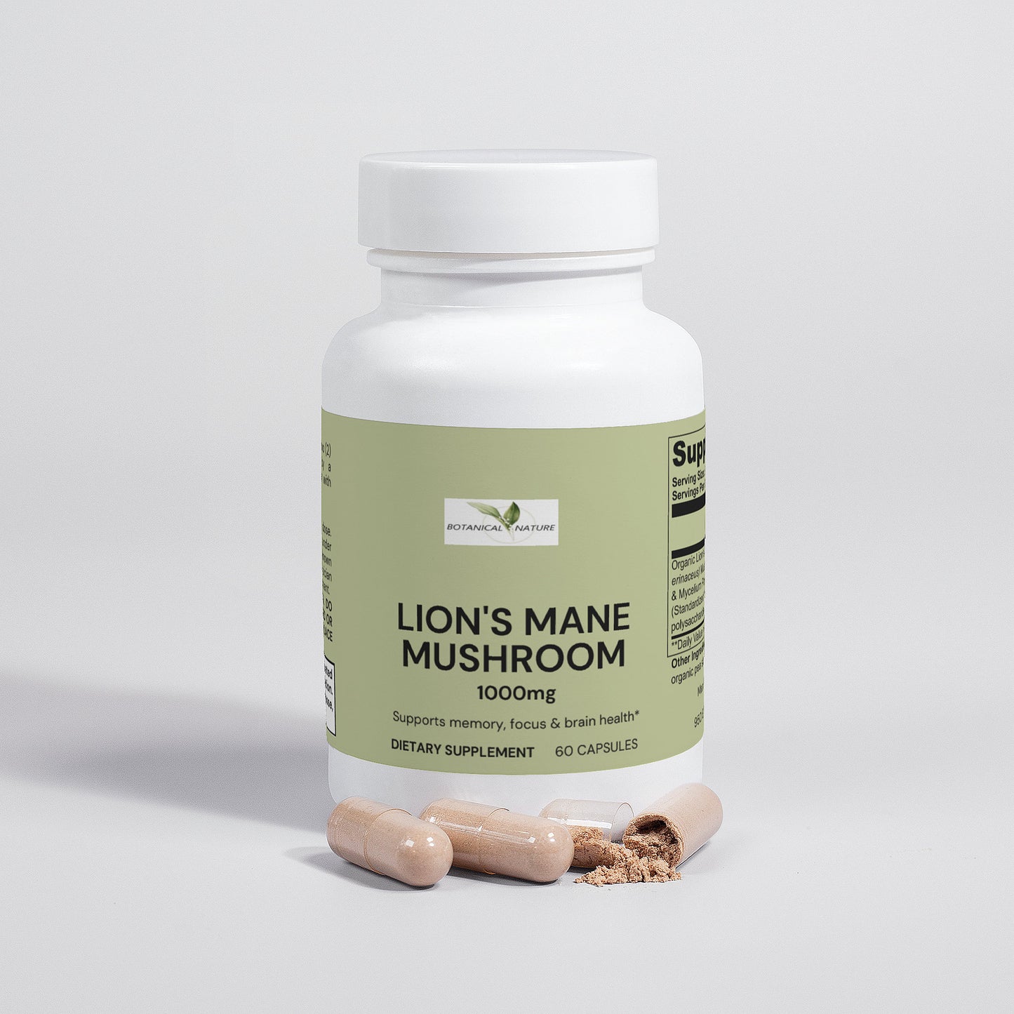 Lion's Mane Mushroom