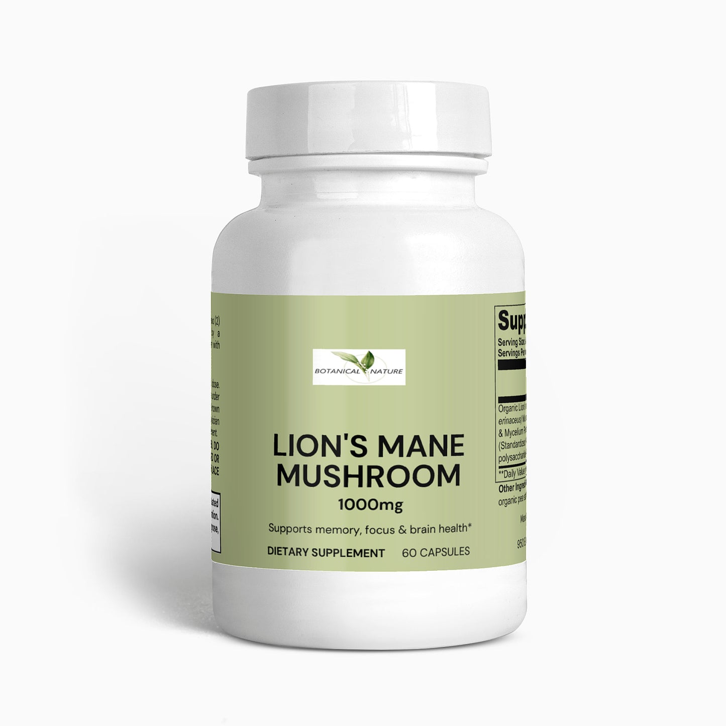 Lion's Mane Mushroom